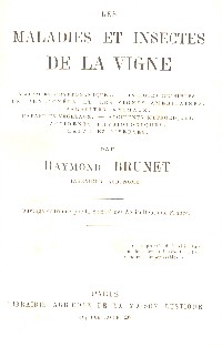 Les Maladies et Insectes de la Vigne