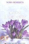 Novos Horizontes