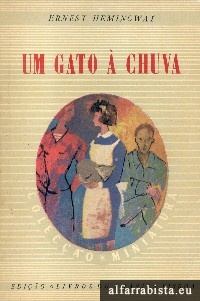 Um Gato  Chuva