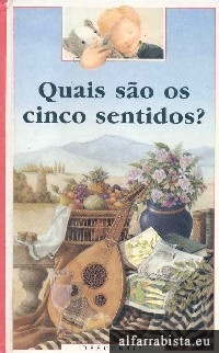 Quais s�o os cinco sentidos?