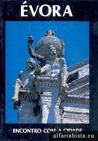 vora 