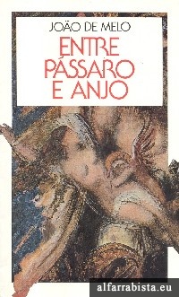 Entre Pssaro e Anjo