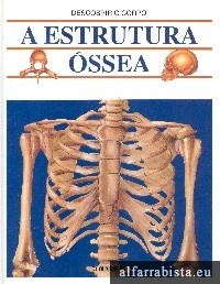 A estrutura ssea