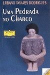 Uma pedrada no charco