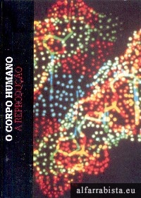 A reproduo
