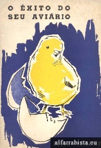 O �xito do seu avi�rio