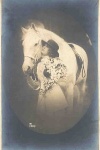 6 Postais Antigos  - Cavalo