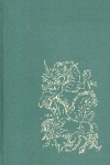 Corao de Vidro