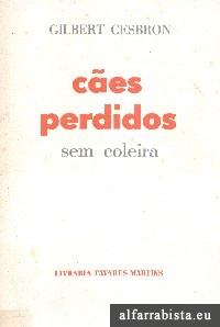 Ces perdidos sem coleira
