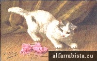 Postal Antigo - Gato a brincar
