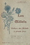 Les Oeillets