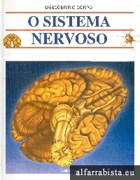 O sistema nervoso