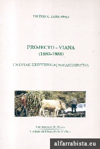 Projecto-Viana (1983-1988)