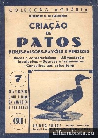 Criao de Patos